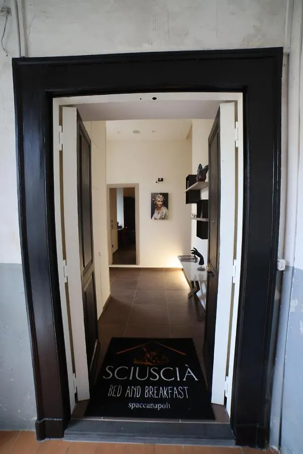 Bed & Breakfast Sciuscia Beb Spaccanapoli